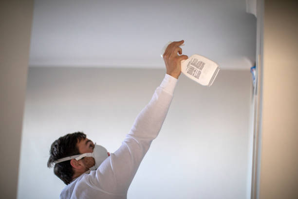 Mold Testing and Removal in Youngstown, NY
