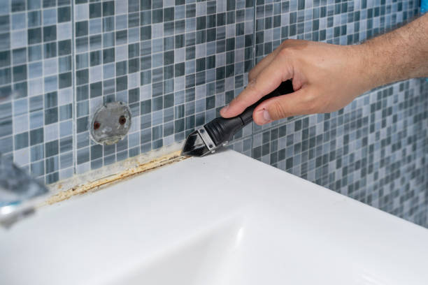 Best Residential Mold Removal  in Youngstown, NY