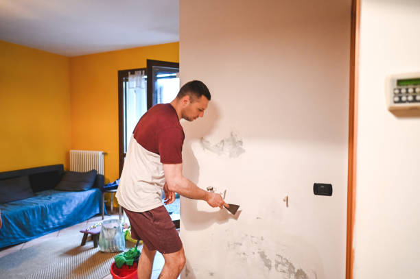 Best Home Mold Removal  in Youngstown, NY